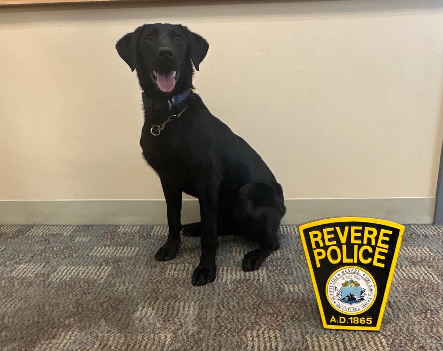 K9 Unit - Revere Police